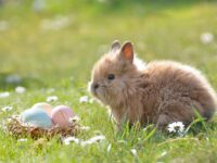 Ostern