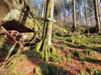 Teufelspfad Pirmasens