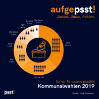 Wahl Stadtrat Pirmasens 2019