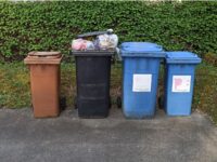 In der letzten Stadtratssitzung vor der Kommunalwahl geht es unter anderem auch um die Müllgebühren in Pirmasens. Foto: T. Müller
