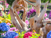 Blumen und Deko gibt es bei der LebensArt im Strecktal. Foto: Veranstalter