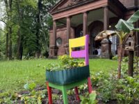 Mit bunten Stühlen lockt die Aktion "Essbare Stadt" dieses Jahr in Pirmasens. Foto: Thomas Müller