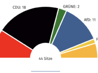Wahldiagramm Pirmasens