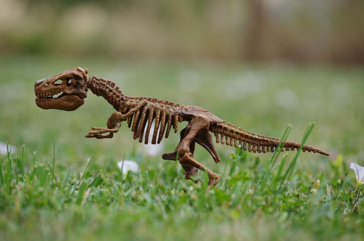 dinosaur