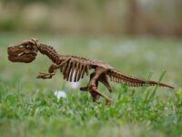 dinosaur