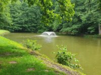 Eisweiher Sprudler