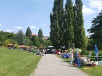 Titelbild Art Pirmasens