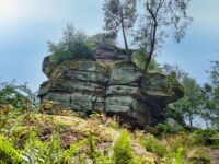 2020_Südwestpfalz_0604_Winschertfels_lmnr1