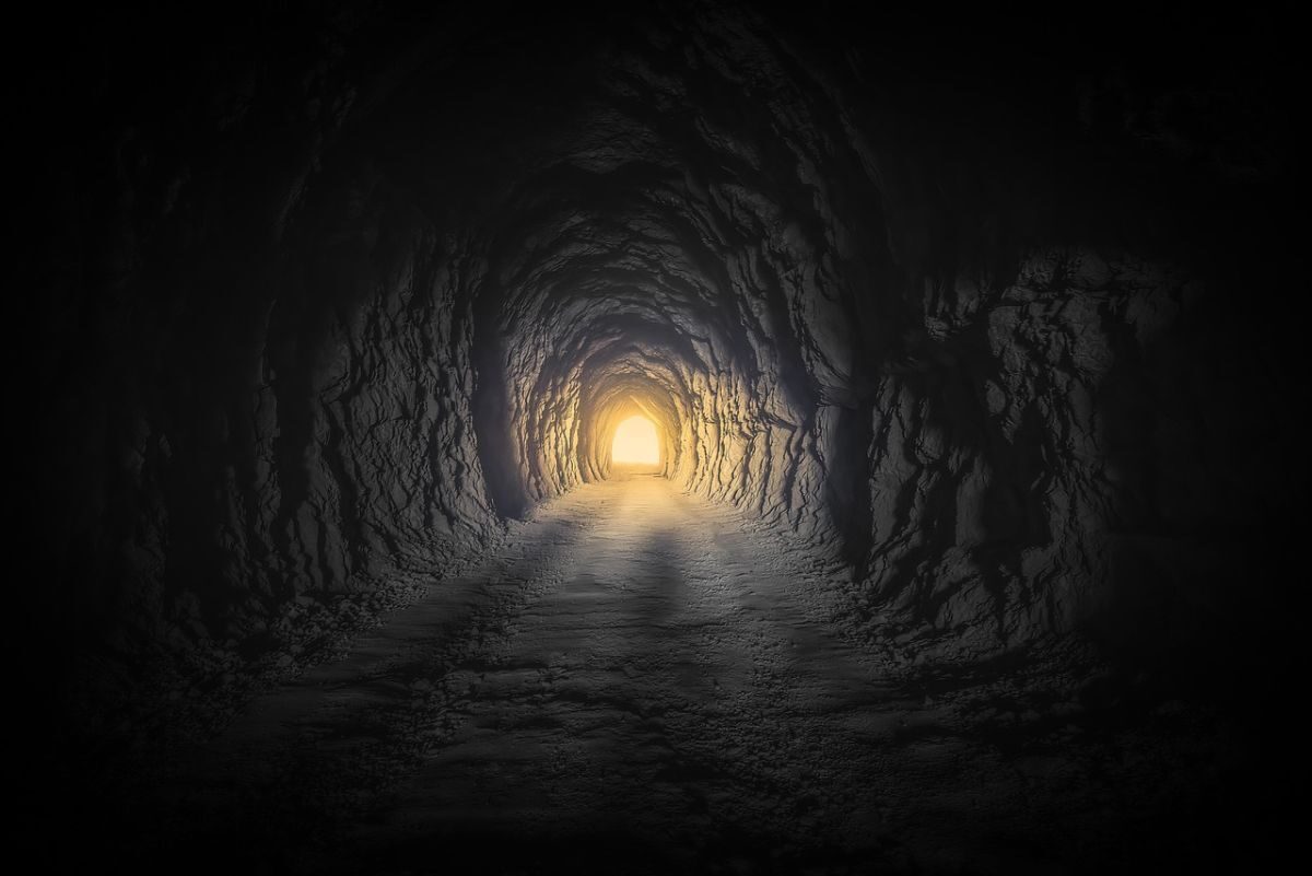 Tunnel Sage
