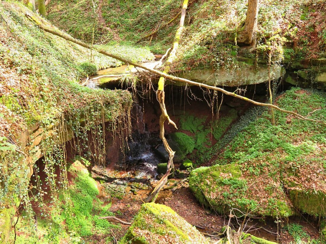 Hexenklamm_bei_Pirmasens
