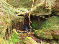 Hexenklamm_bei_Pirmasens