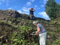 PM 2025_25 Arbeitseinsatz Terassen Weidenthal