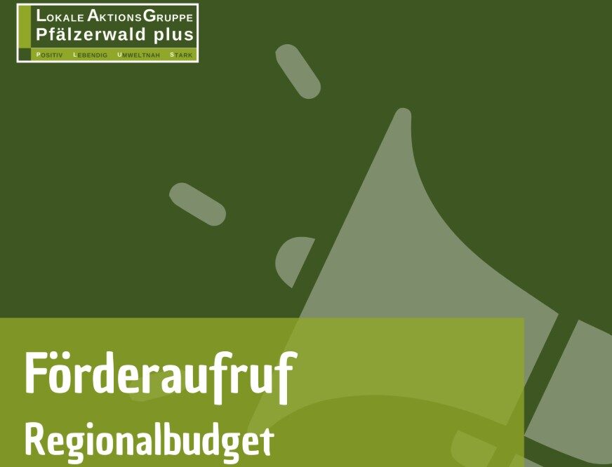 LAG Pfälzerwald plus