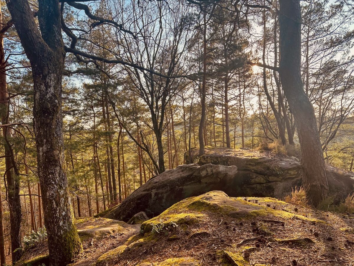 Titelbild Wandern