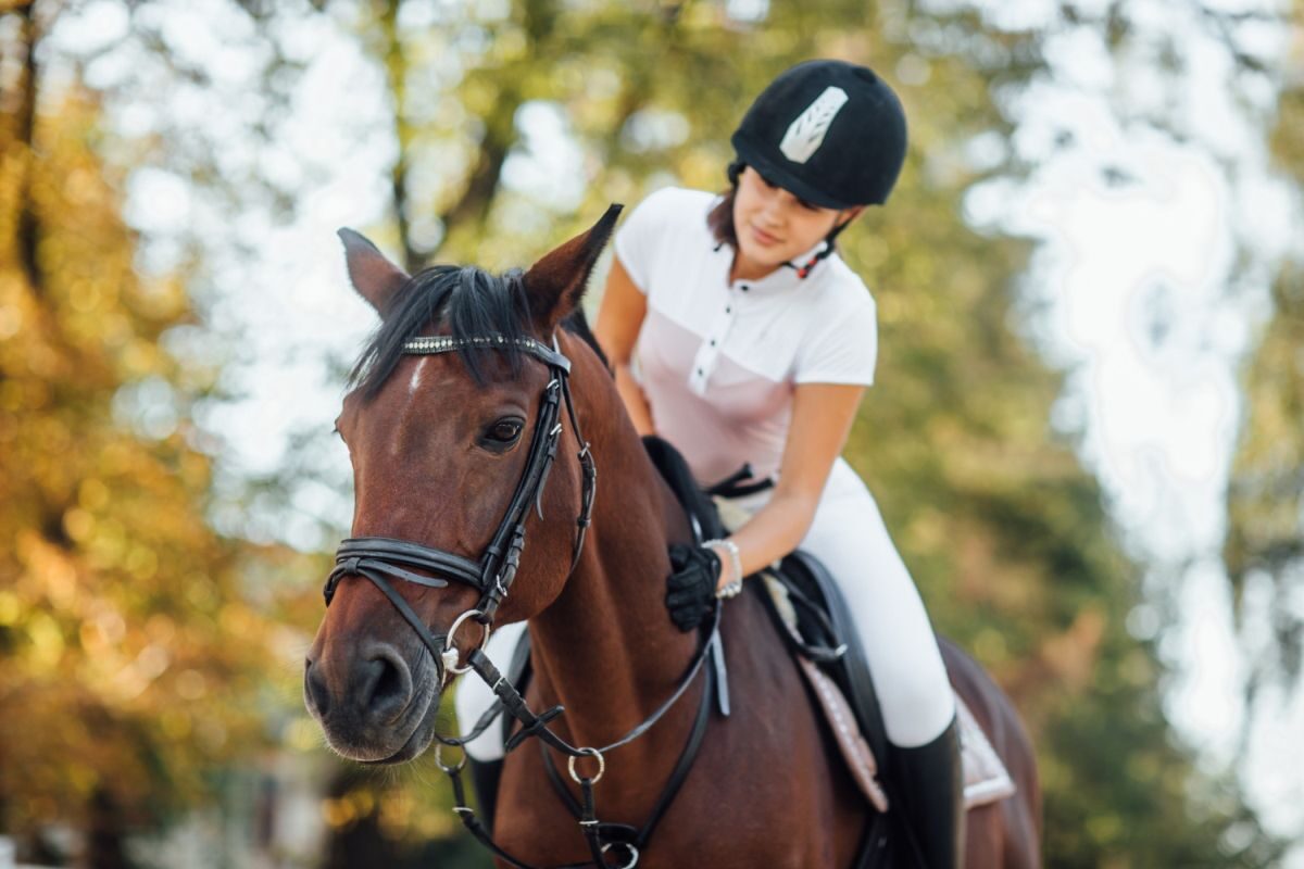 Reiten