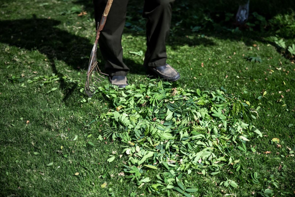 Garten