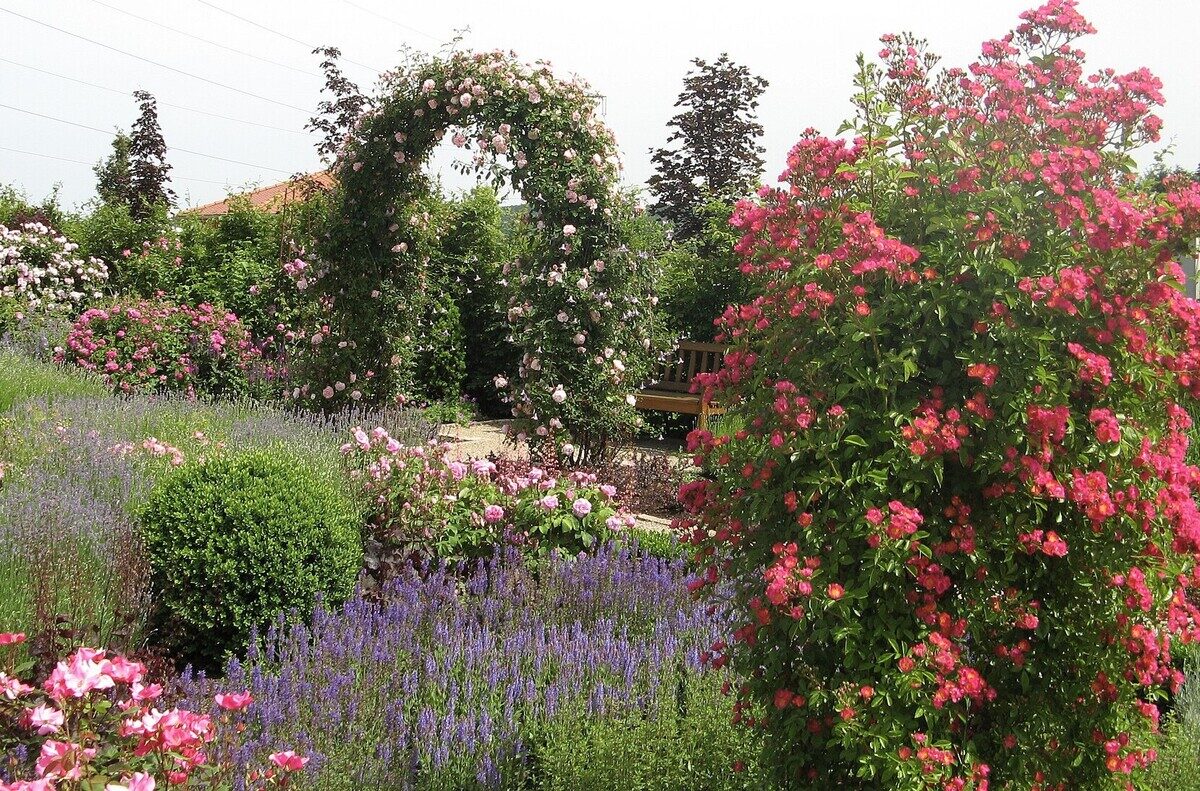 Screenshot 2026-04-09 163527