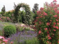 Screenshot 2026-04-09 163527